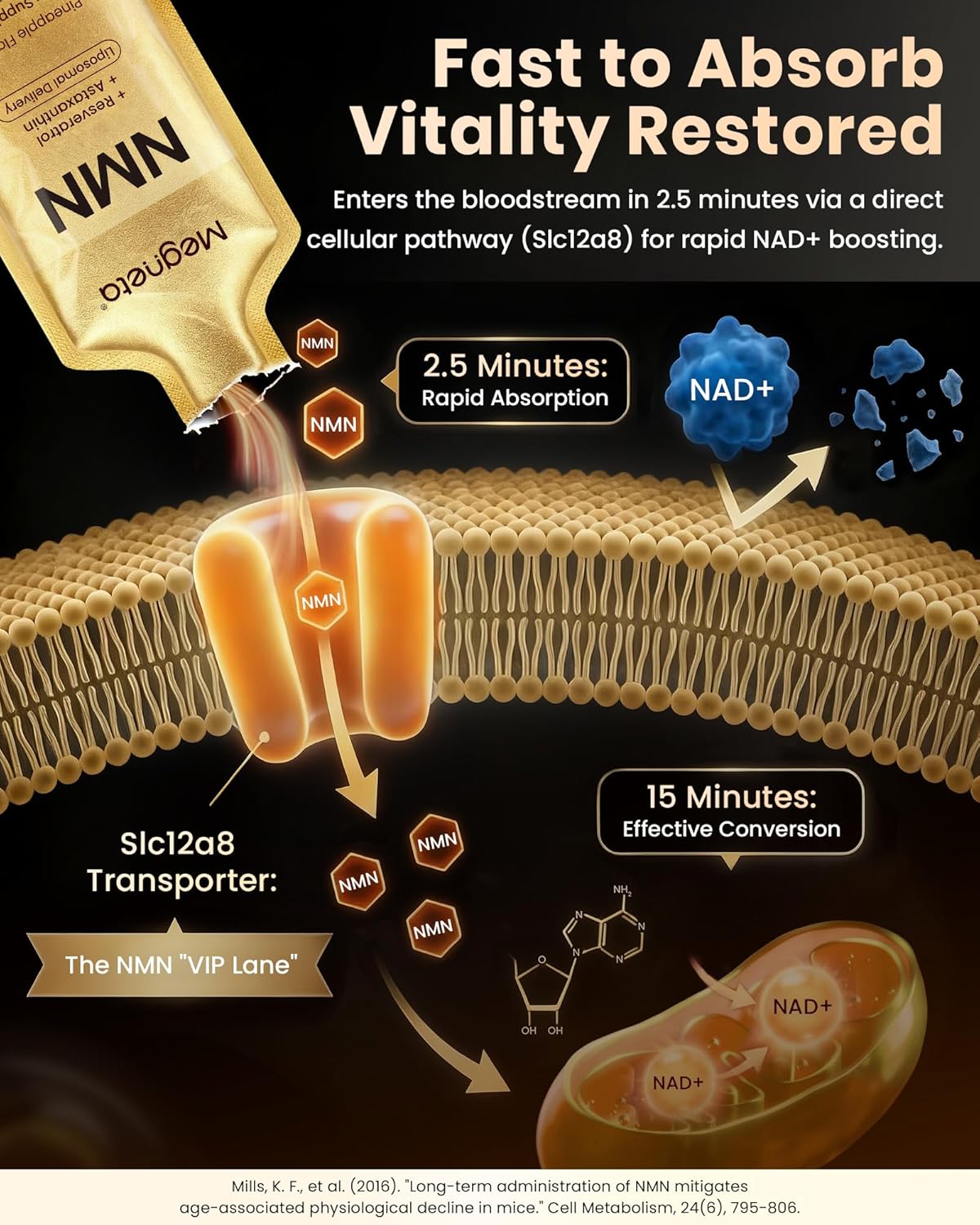 NMN 600mg Liposomal Liquid Pouches with Resveratrol 150mg, PQQ, CoQ10 & Astaxanthin-High Absorption NAD+ Booster Supplement for Cellular Energy, Healthy Aging & Longevity - Vegan - 30 Servings