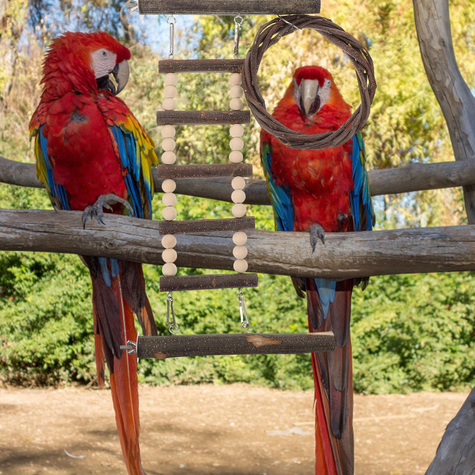 GRIRIW Parrot Training Ladder Set Bird Cage Ladder Bridge Wooden Perch for Parrots Bird Climbing Steps Toy