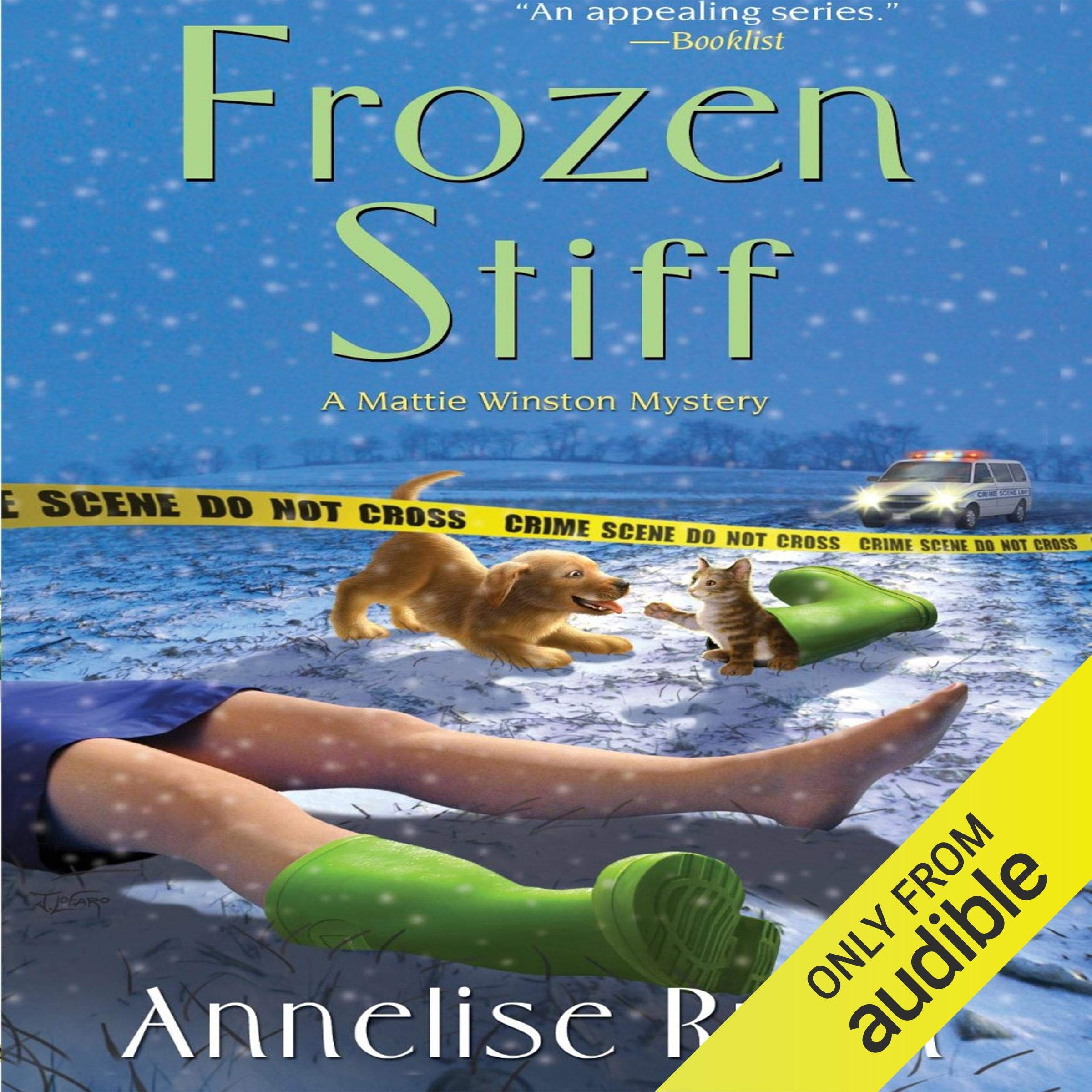 Cover art for Frozen Stiff