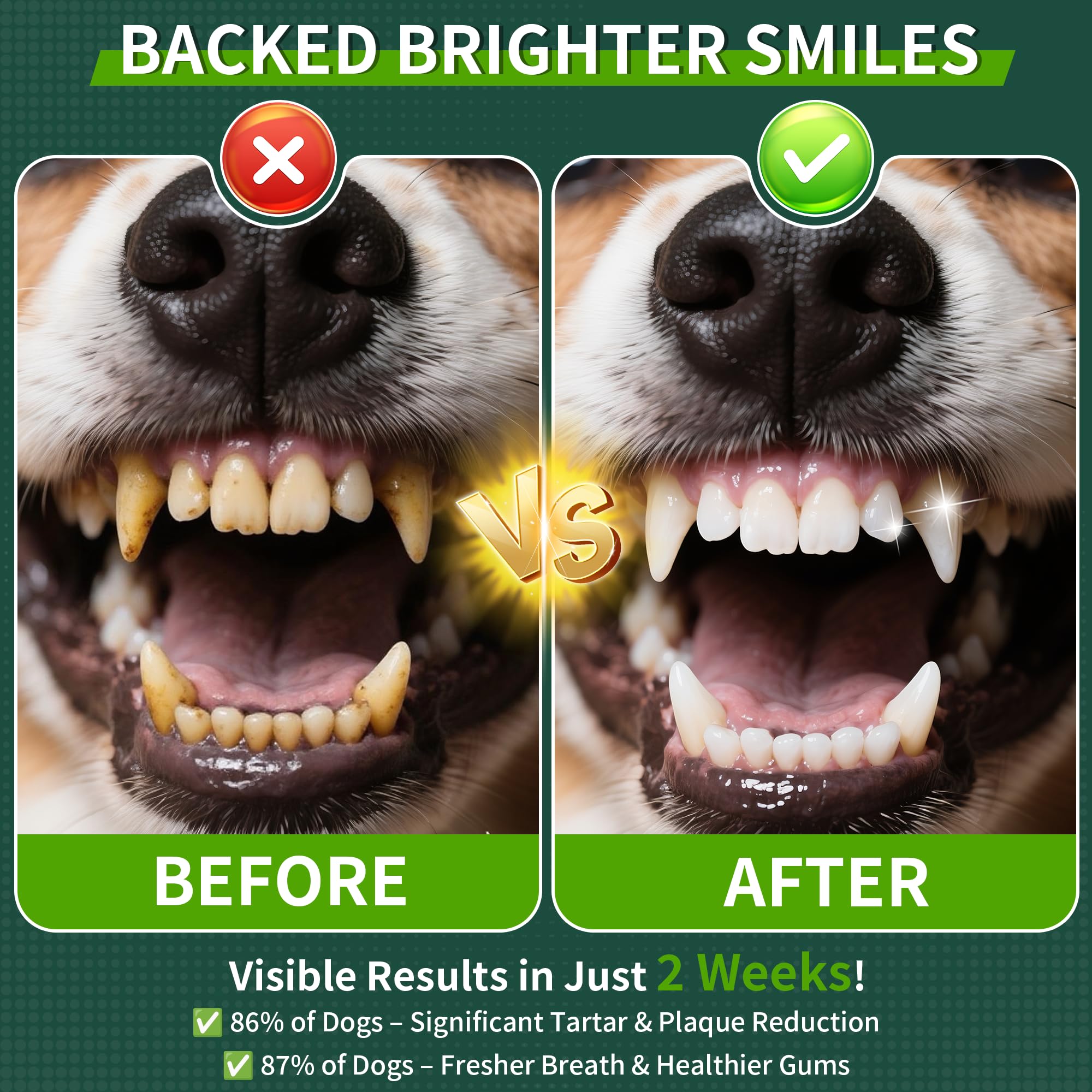 Dog Dental Powder, Dog Teeth Cleaning Powder with Natural Herbal Blend, Plaque Off Pet Tooth Cleaning lab co, Targets Tartar & Reduces Plaque & Bad Breath for Dogs & Cats, Mint -150Grams - image 2