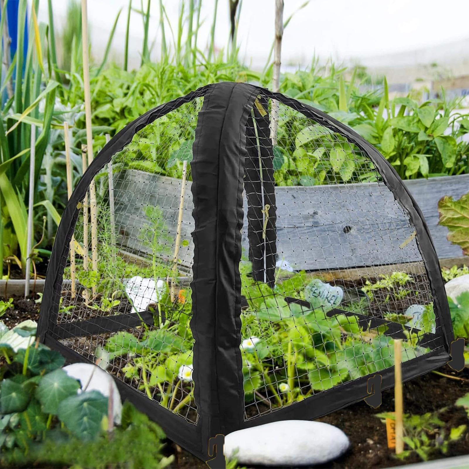 Rete Protettiva Pop-Up Per Piante: La Tenda Magica Per Il Tuo Giardino! Con Cerniera E Paletti Inclusi - Anti Uccelli E Parassiti, Per Ortaggi E Fiori (71x71x81 Cm)