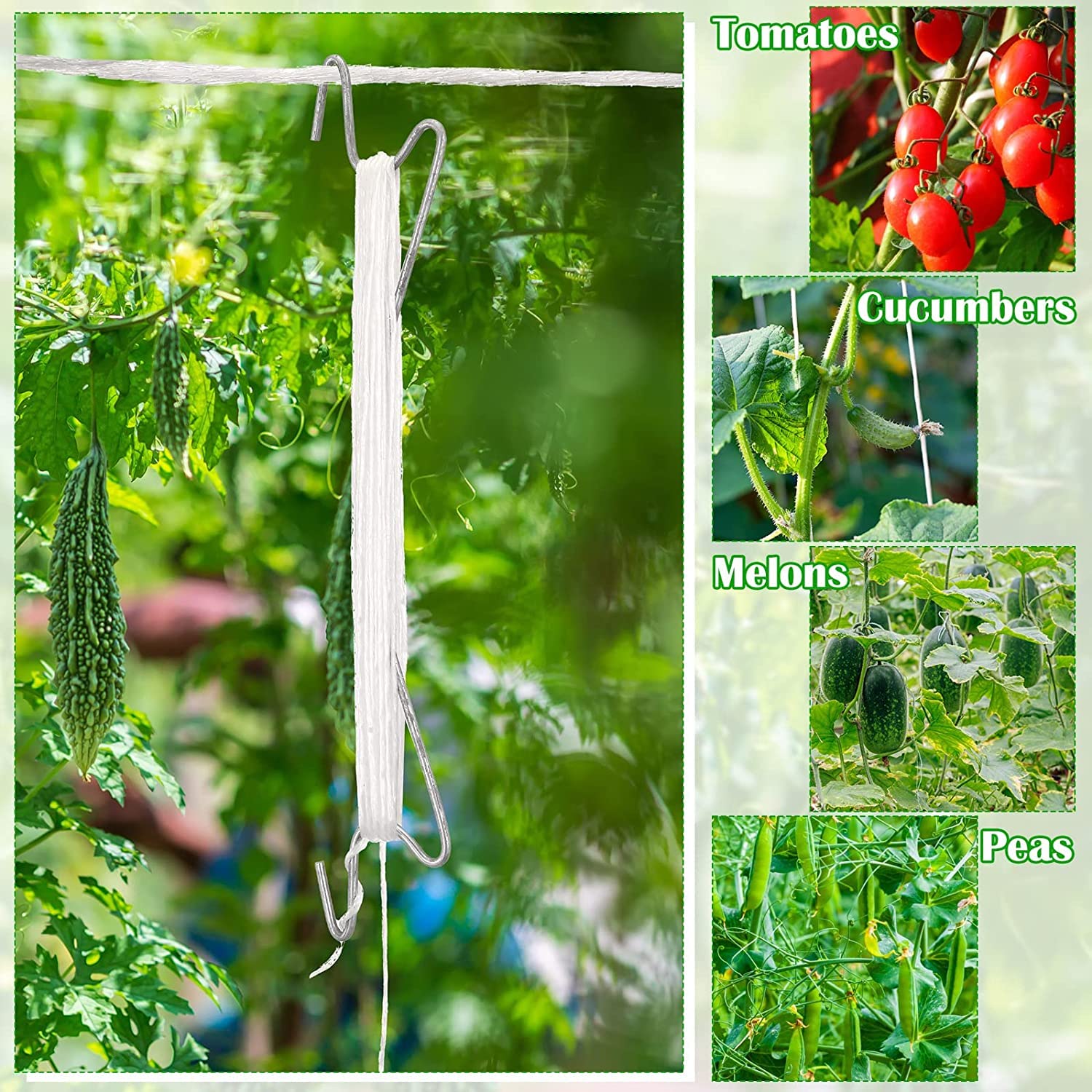 Rispenhaken für Tomaten 0,20 € / Stück (10 Stück