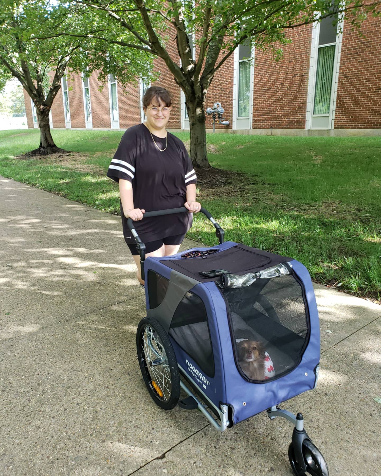 40/mo Finance Doggyhut Premium Pet Bike Trailer & Stroller for Small