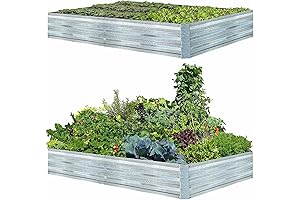 Raised Garden Beds for Abundant Vegetable Gardens and Thriving Herb Patches