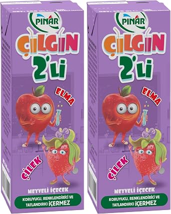 Pınar Çılgın İkili Elma Çilek 200ml 2li Paket