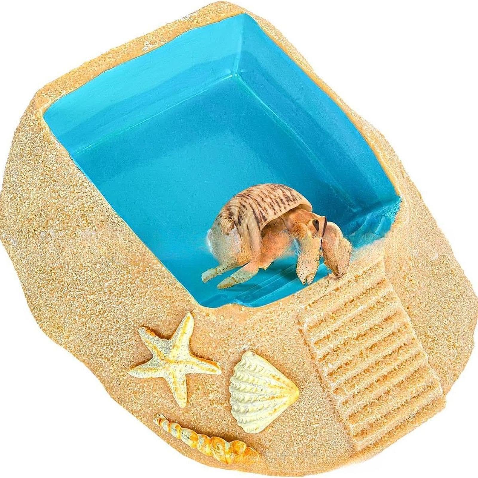 Ciotola per Acquario a Forma di, Accessorio per Acquario, Ciotola per Acqua in Resina per Tartarughe, Piscina per Il Bagno, Forniture per Habit