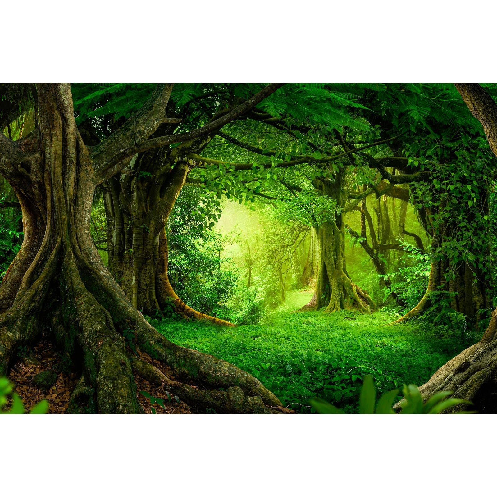Forest Aquarium Background Lush Green Tropical Rainforest Natural Landscape Terrarium Background Jungle Forest with Sunbeams Old Huge Trees Fish Tank Background Wallpaper Poster Vinyl 48x24in
