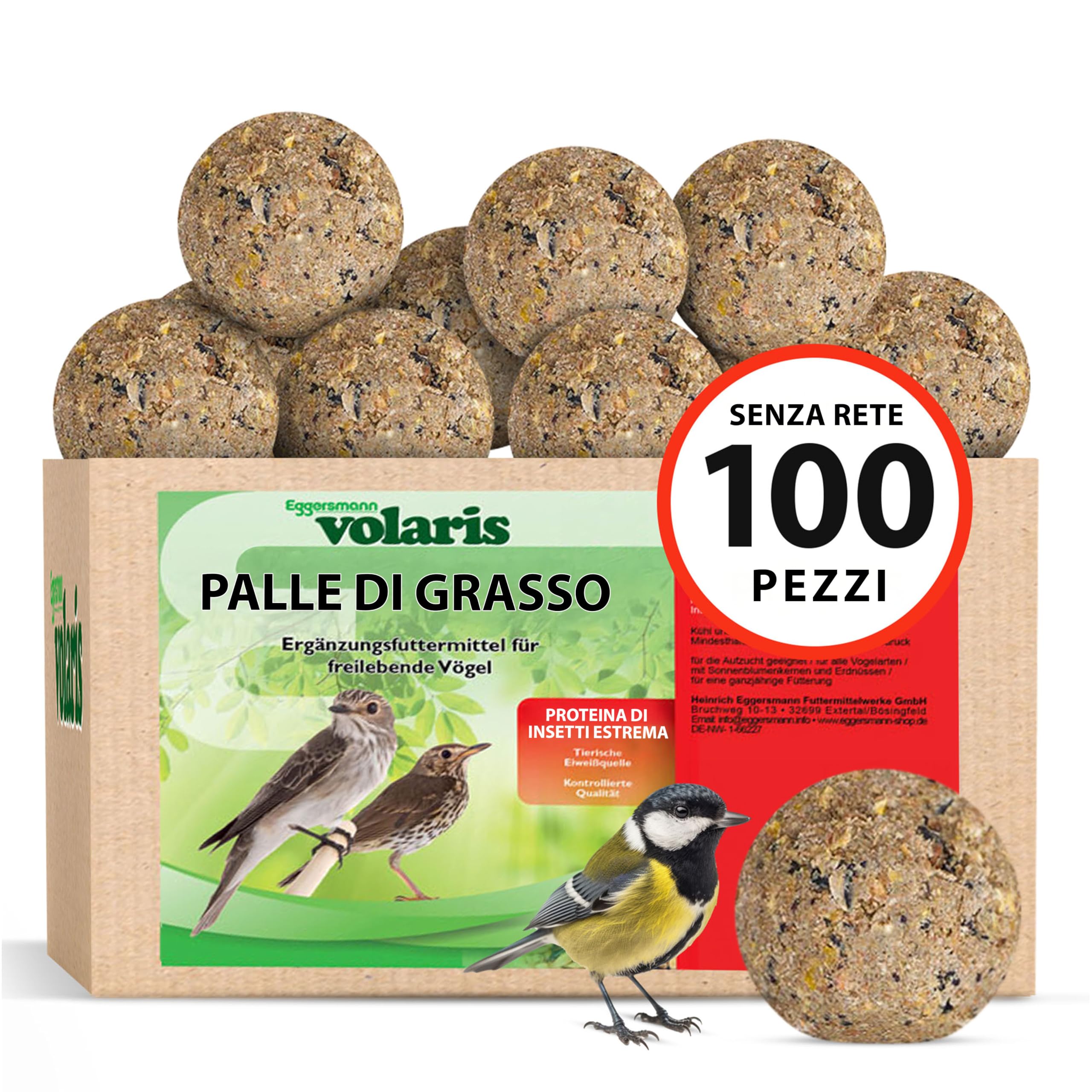 MANGIME PER VOLATILI Scoiattoli Lamiera Conduttrice Cartello Stop - Foto 7