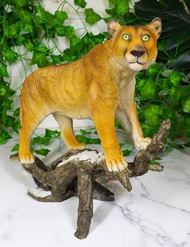 Miniatura 8 de León de montaña de Ebros Cougar de pie en estatua de tronco nevado desgastado decoración de vida silvestre Animal Taxidermia réplica de panteras