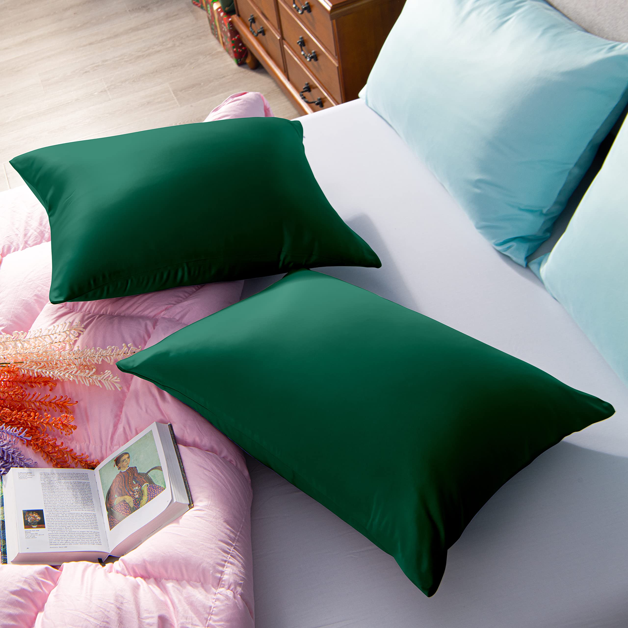 View 5