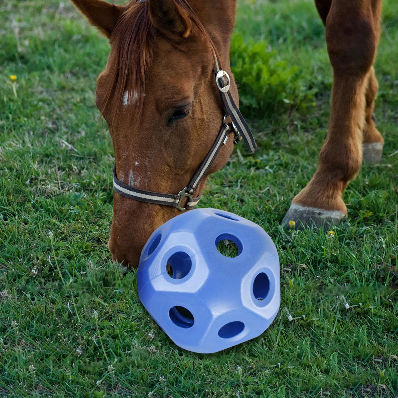 Divertida bola de regalo for caballos, juguetes for caballos, bola de heno de alimentación lenta, juguetes for comedero de caballos, alimentador de heno hueco, bola de juguete for establo de caballos,