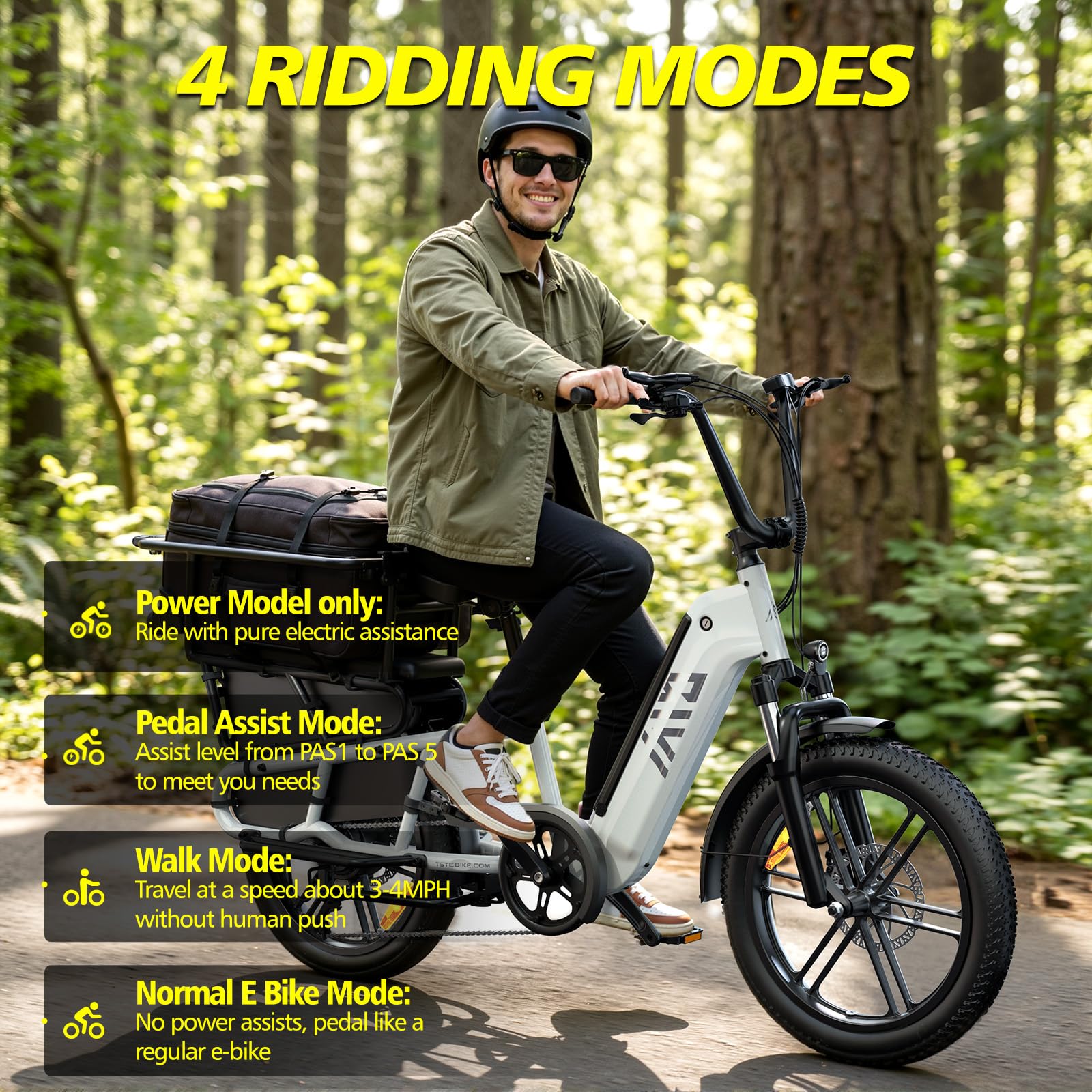 TST Bicicleta Eléctrica para Adultos con Asiento Trasero y Control por App, Bicicleta Cargo 20" Llantas Fat Batería 48V 15Ah 250W Autonomía 60KM Carga 204kg, Portaequipajes, Suspensión, Cuadro Bajo
