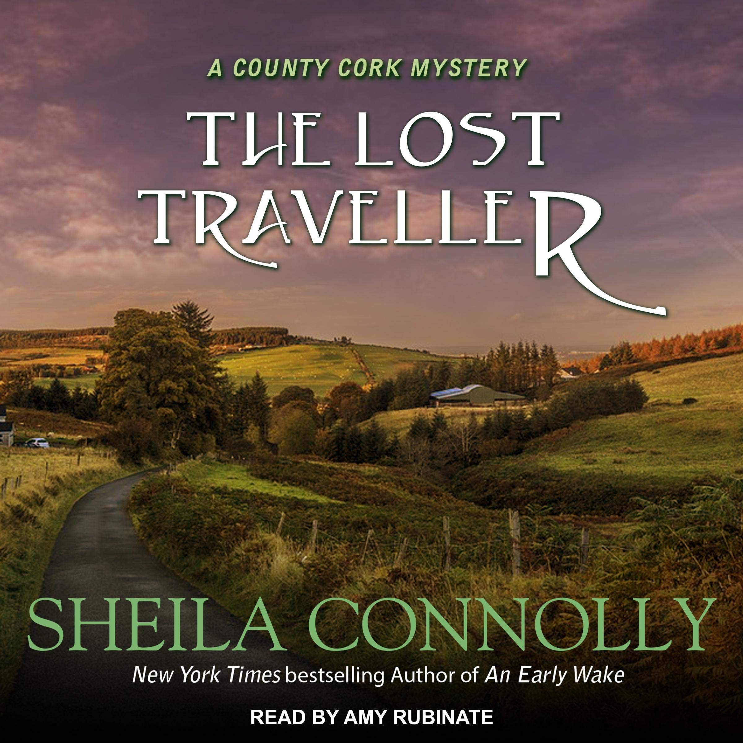 Cover art for The Lost Traveller