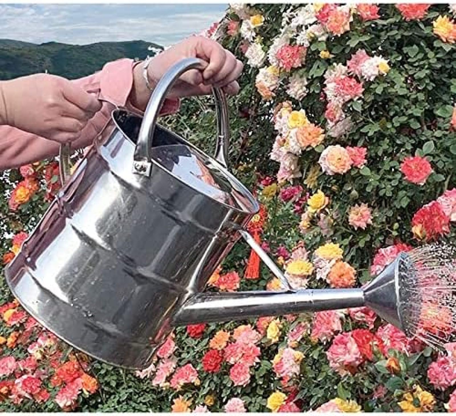 Regadera De Plantas Regadera De Acero Inoxidable Regadera De Gran Capacidad Hogar Boca Larga Riego Engrosado Riego Y Riego Regadera De Ducha De Doble Propósito 8L / 2L Riego Decorativo,8ld