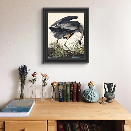 Miniatura 3 de Lost Cabin Great Blue Heron de James Audubon  Impresión en marco biselado negro  Reproducción de pinturas de obras de arte finas  Póster decorativo