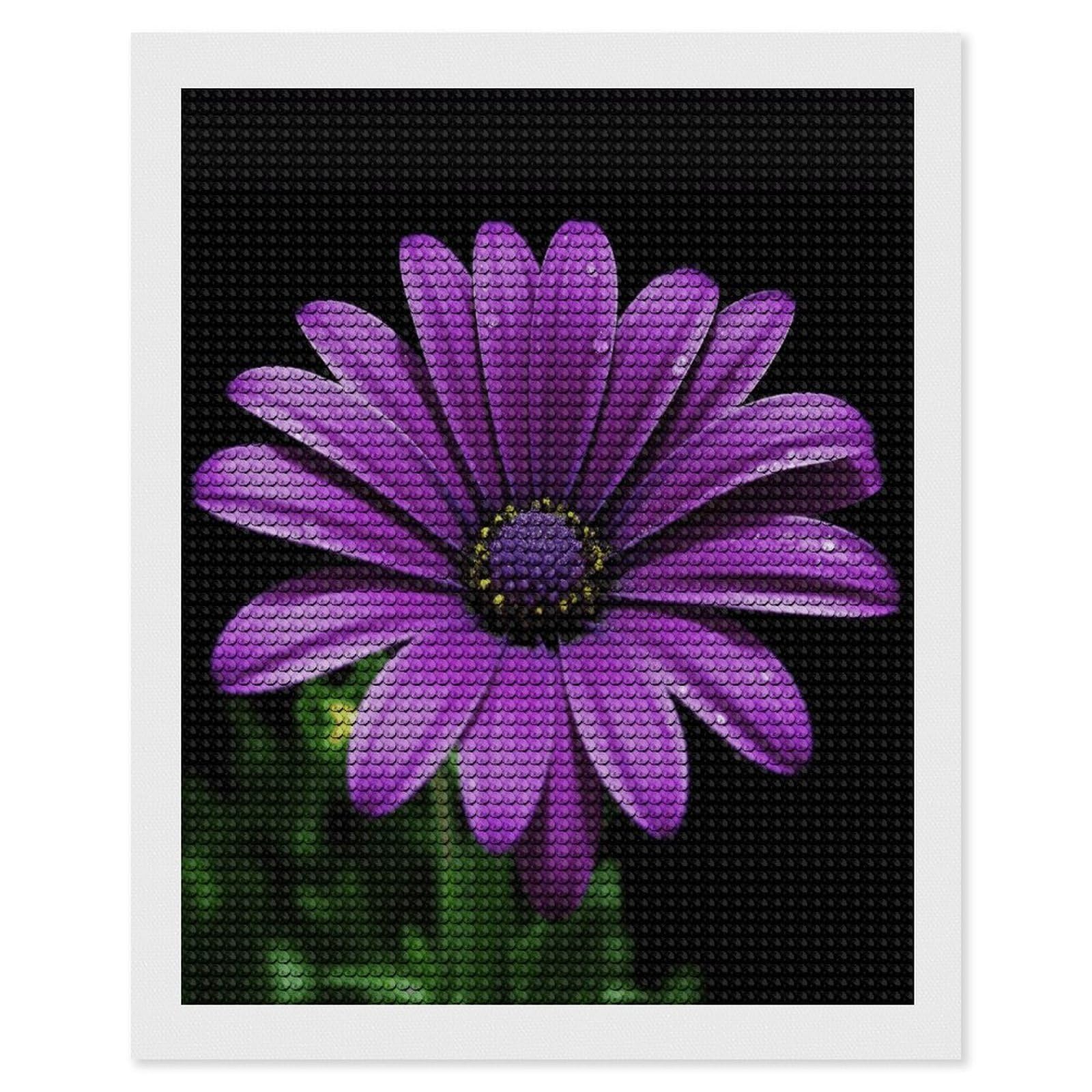 VstaDank Purple Daisy Diamond Painting Kits Exquisite DIY Full Round Drill Diamond Dots Painting for Adults Beginner Diamond Photo Paint with Diamond Picture Art Wall Decor 16"x20"