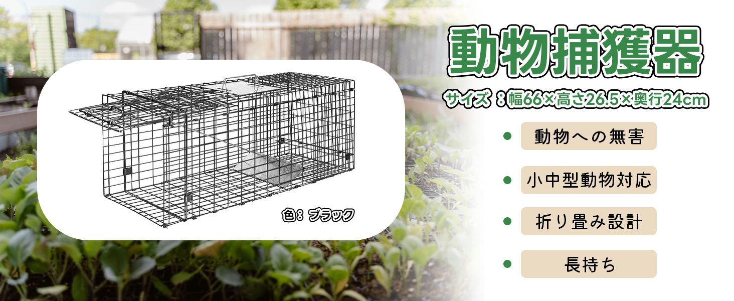 Amazon.co.jp: Eastbury 捕獲器 踏み板式 トラップ 動物用 66×26