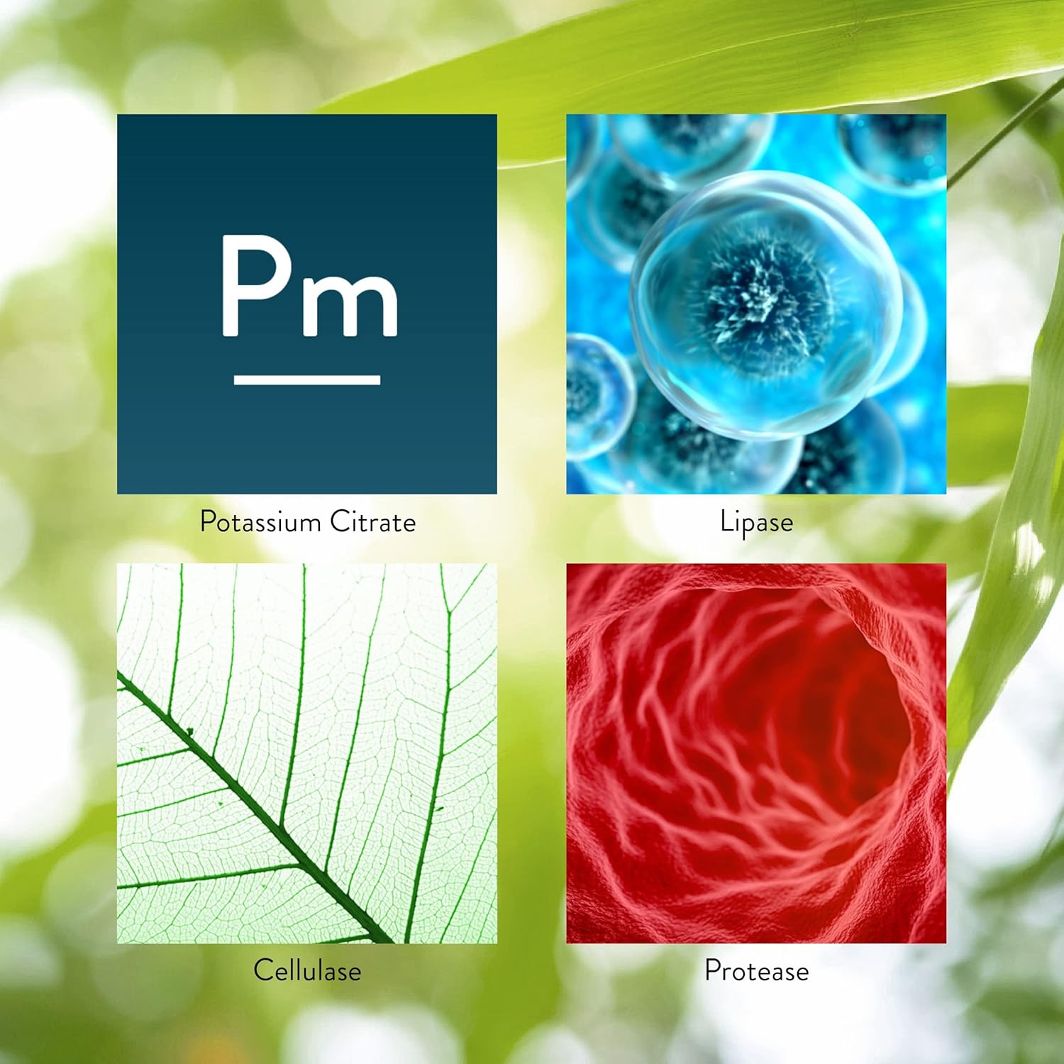 Nature's Sunshine Hi-Lipase - Naturally Supports The Digestive System and aids in The Digestion of Food (100 Capsules) - Image 5