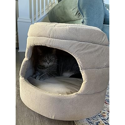honeycomb cat bed