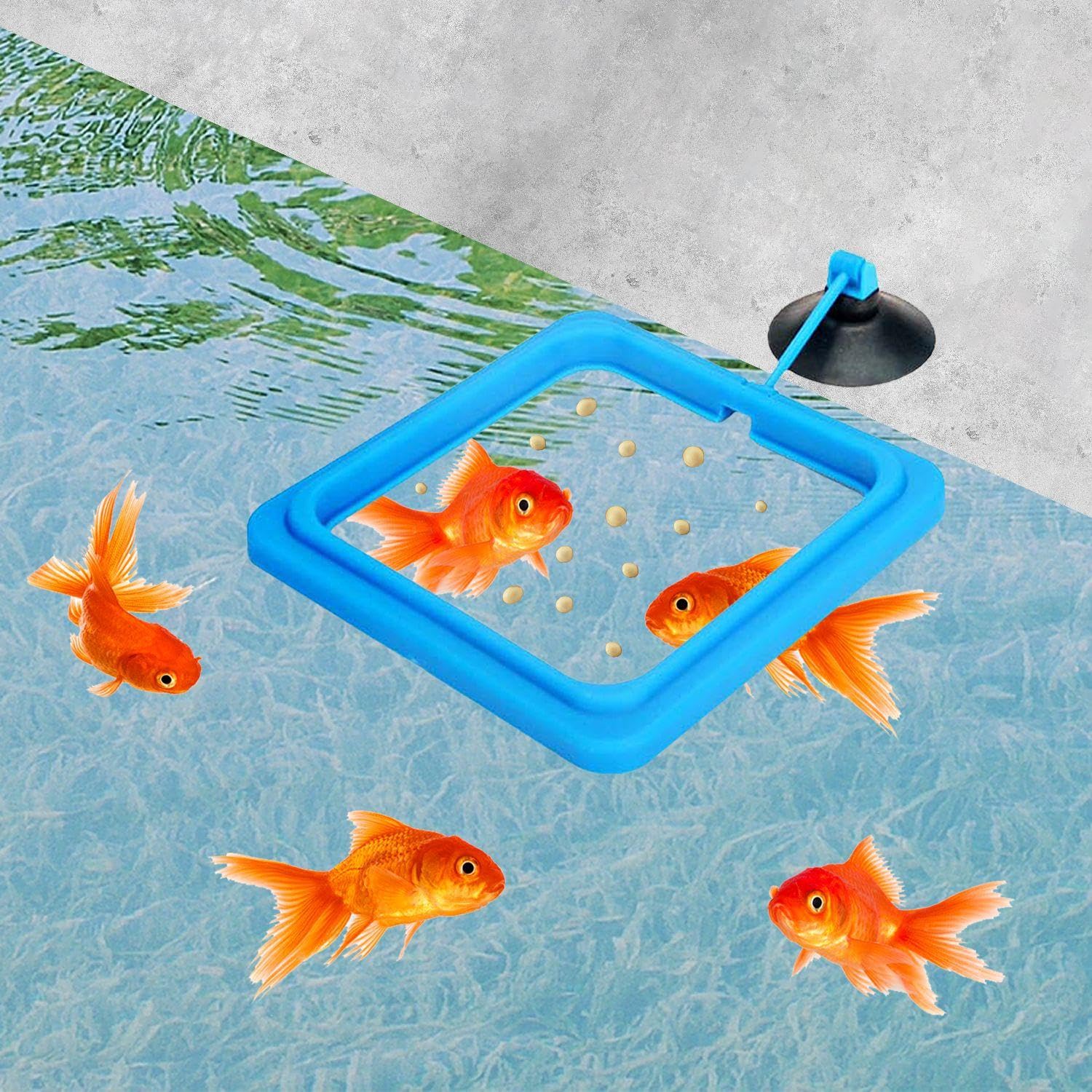 2 Anelli Per L'Alimentazione Del Cibo Per Pesci, 5 Anelli Per Piante Galleggianti, Anelli Per L'Alimentazione Dell'Acquario, Mangiatoia Per Acquario, Accessori Per Acquari, Mangiatoia Per Pesci