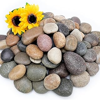 NUPICK 6lb Mexican Beach Pebbles, 2-3" Large River Rocks for Landscaping, Smooth Garden Rocks