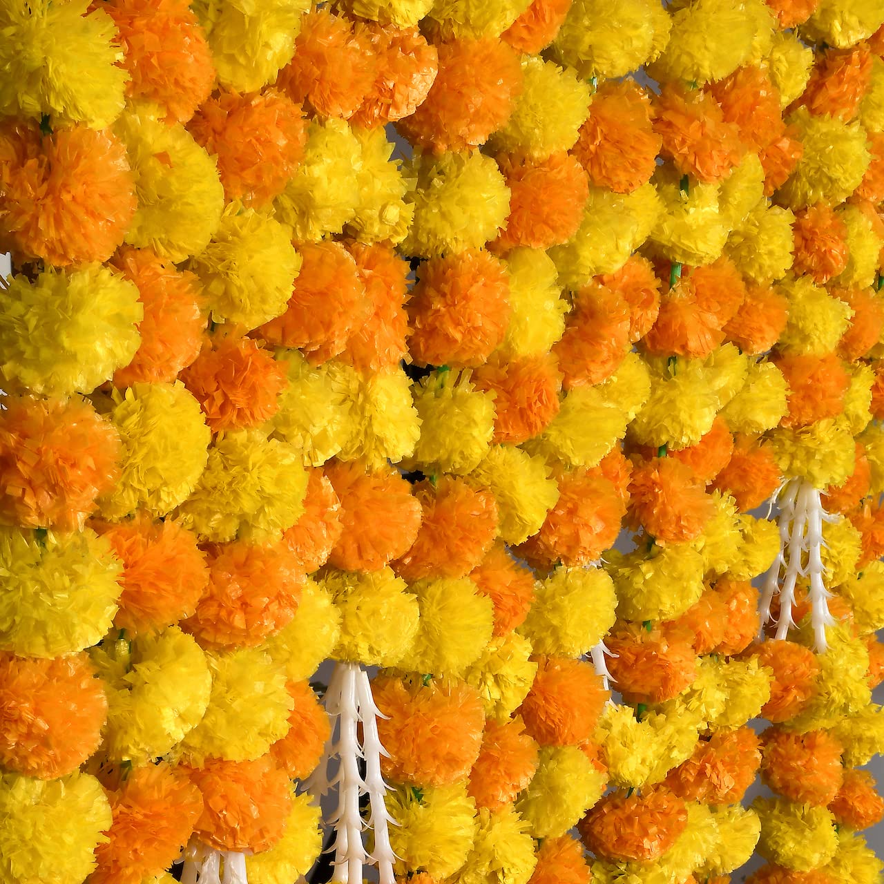 Solawood Marigold Flower Backdrop Setup, image size:1280x1280