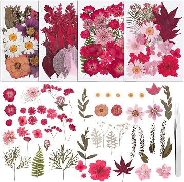 100 Pcs Real Natural Dried Pressed Flowers Pink