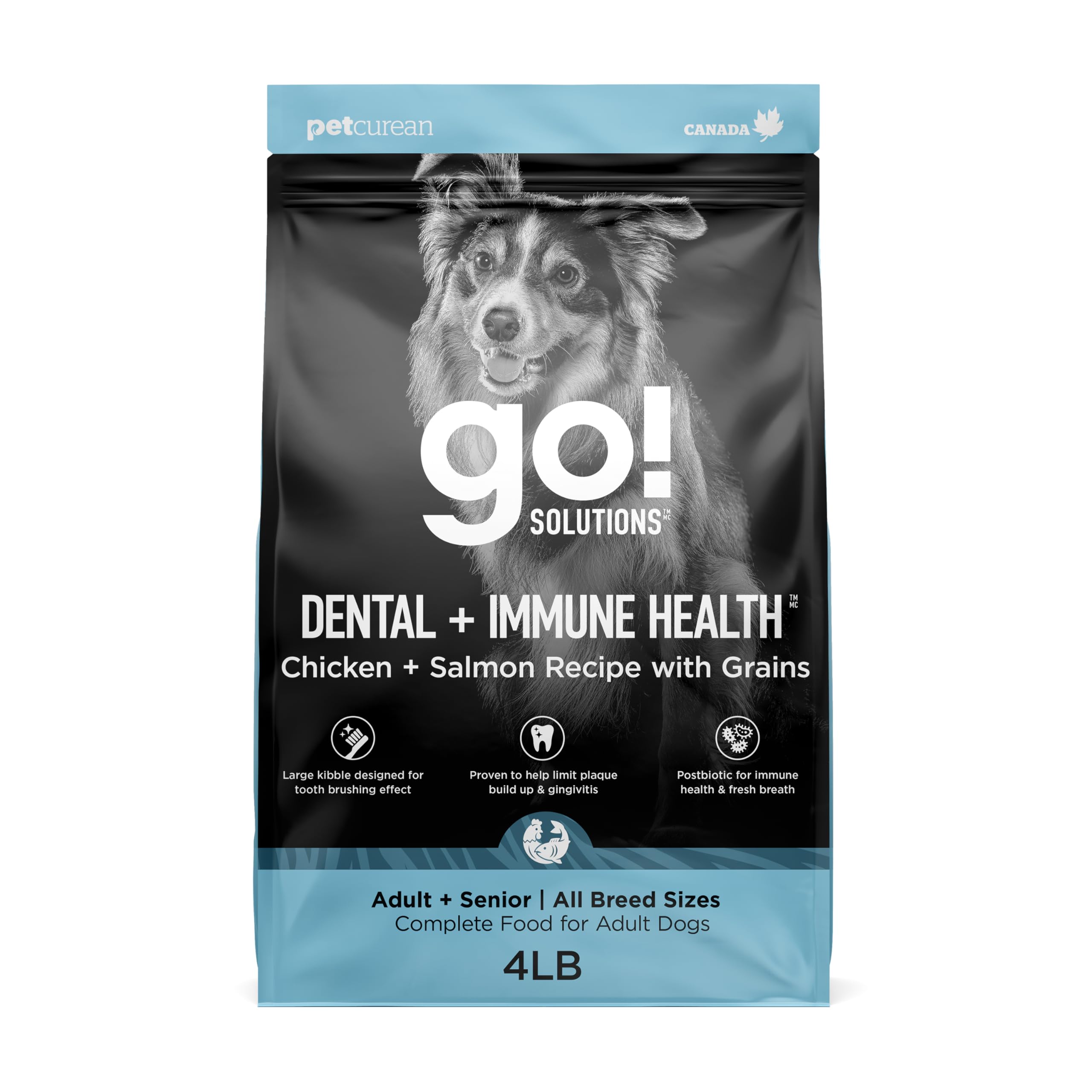 Go! Solutions Dental + Immune Health Chicken + Salmon Dry Dog Food