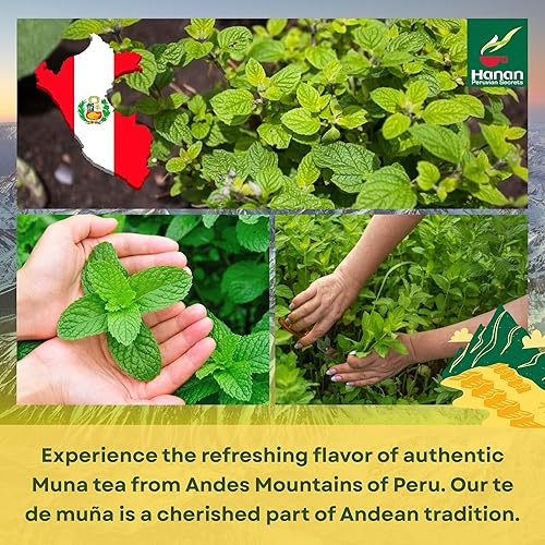 Miniatura 5 de Bolsas de té Hanan Muña  Té de hierbas de menta andina 100% natural de Perú, 25 bolsas de té tradicional de Muña del Perú, sin cafeína para la