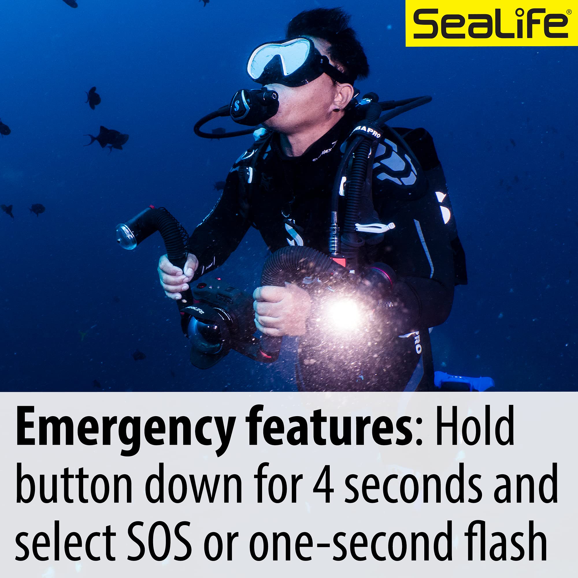 Sealife Sea Dragon 2500F Lampe Photo et vidéo Taupe (SL671)