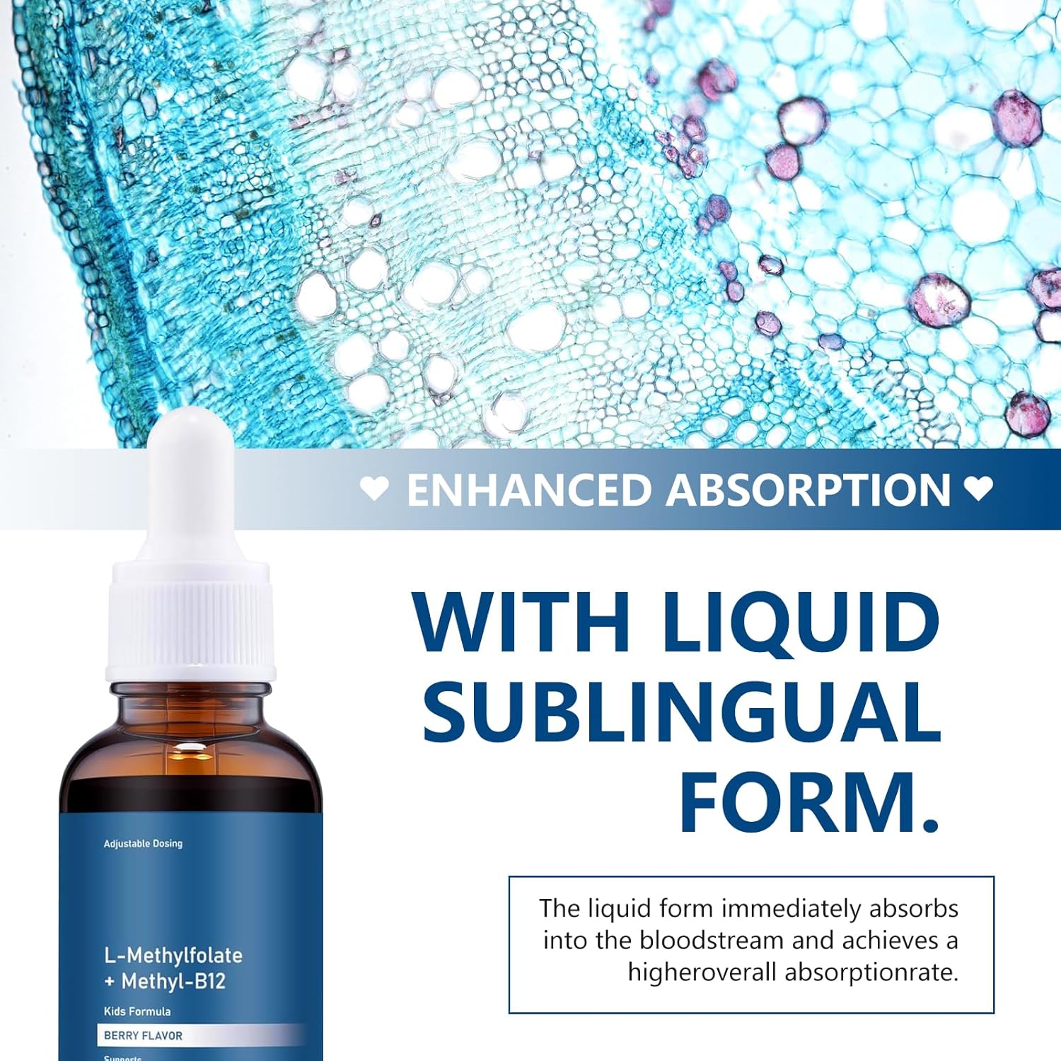 neup,neup l-methylfolate,Methyl B12 Liquid Drops – High-Strength Active Folate and Vitamin B12 Formula – Vegan, Non-GMO, Gluten-Free - Image 6
