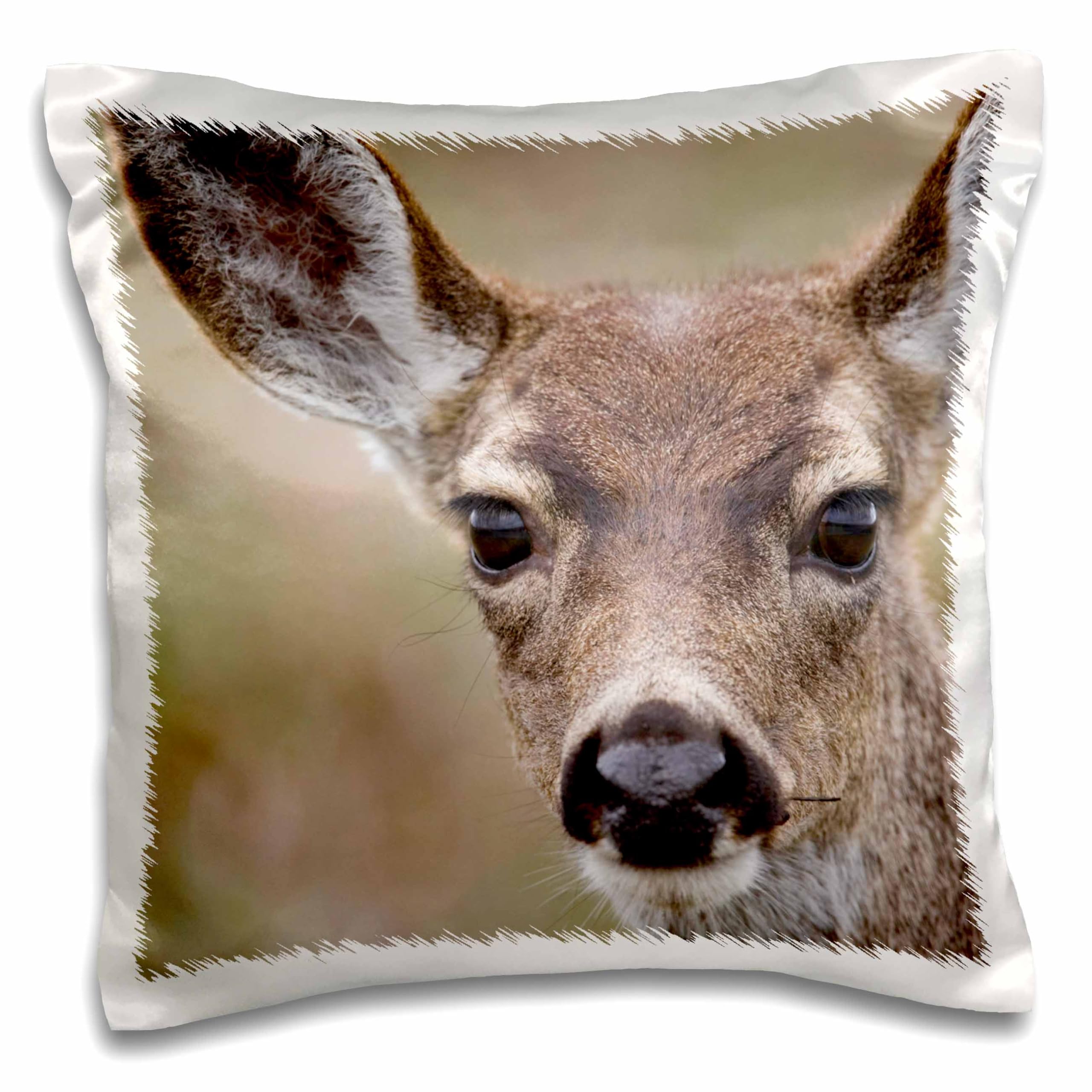 3dRose California, Point Reyes Seashore, Mule Deer-Us05 Rja0002-Rebecca Jackrel-Pillow Case, 16 by 16" (pc_88608_1)