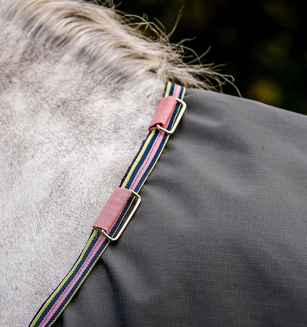 Foto 4 de 8 de Horseware® Amigo® Hero Ripstop - Manta de caballo (0 g, ligera)