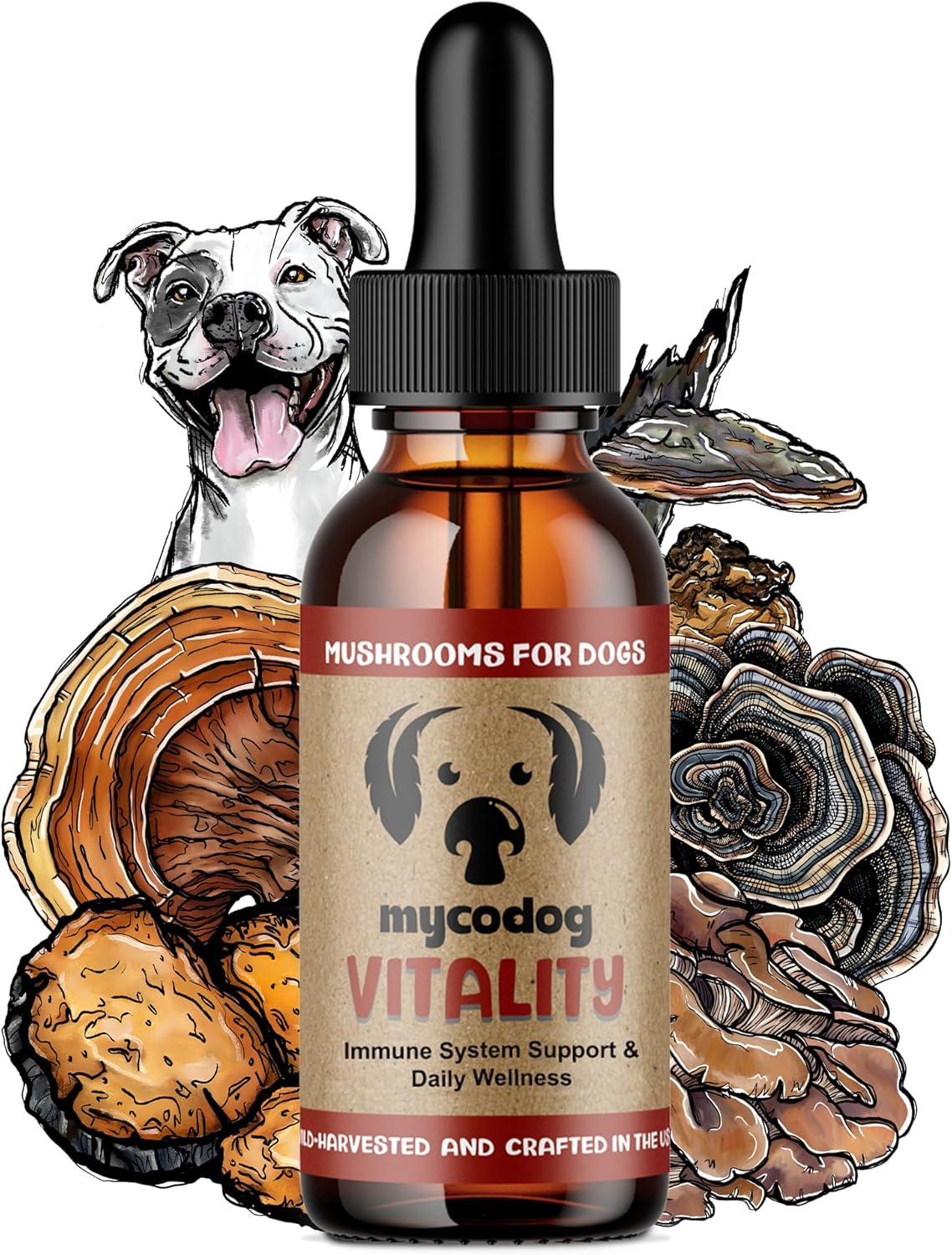 MycoDog Vitality - 20-in-1 Turkey Tail Mushroom for Dogs - Mushroom & Adaptogen Supplement for Senior Dogs - Supporting Immune Health & Daily Wellness - with Reishi, Chaga