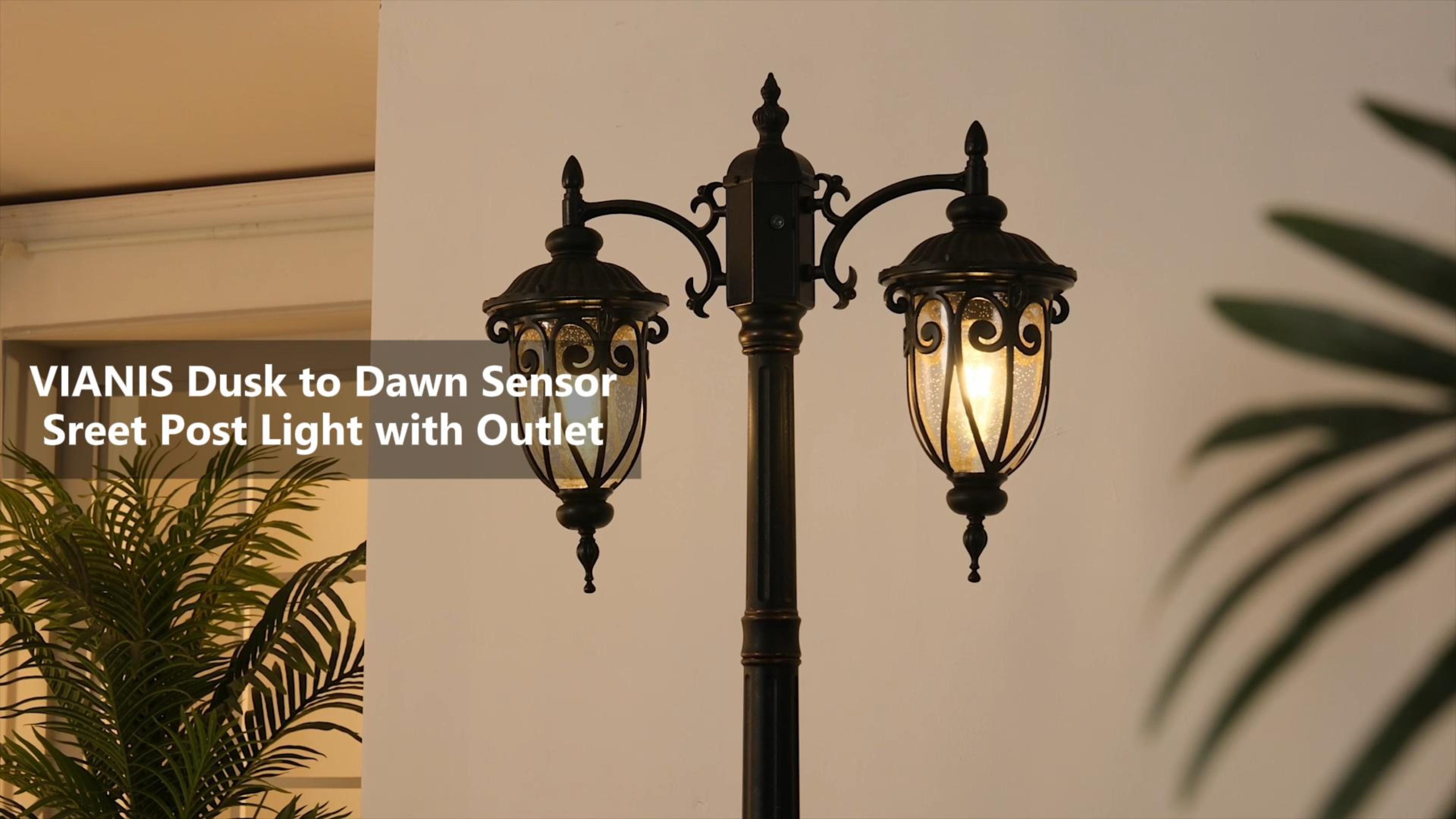 VIANIS Outdoor Lamp Post Light with Outlet, Dusk to Dawn Black