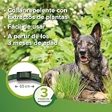 Ver la foto 5