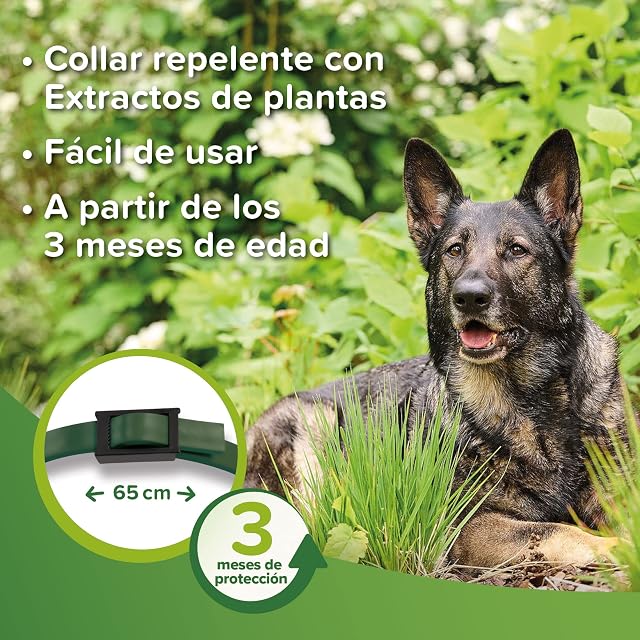 Foto 5 de 6 de Beaphar Collar Repelente Natural para Perros