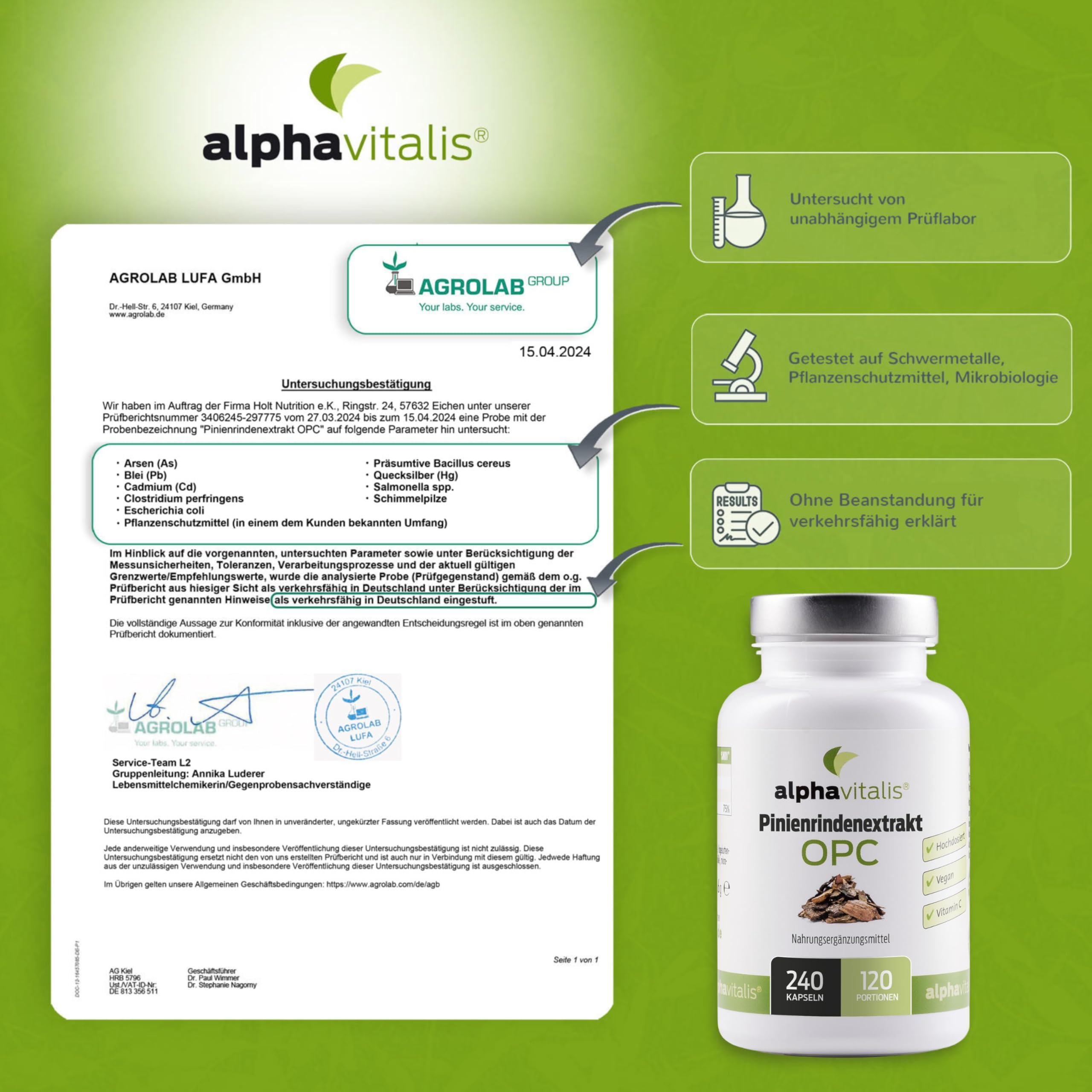 Pinienrindenextrakt Kapseln hochdosiert mit 32% OPC + natürliches Vitamin C - 240 Stk. - 500mg veganer Kiefernrindenextrakt - laborgeprüft aus Pinus pinaster