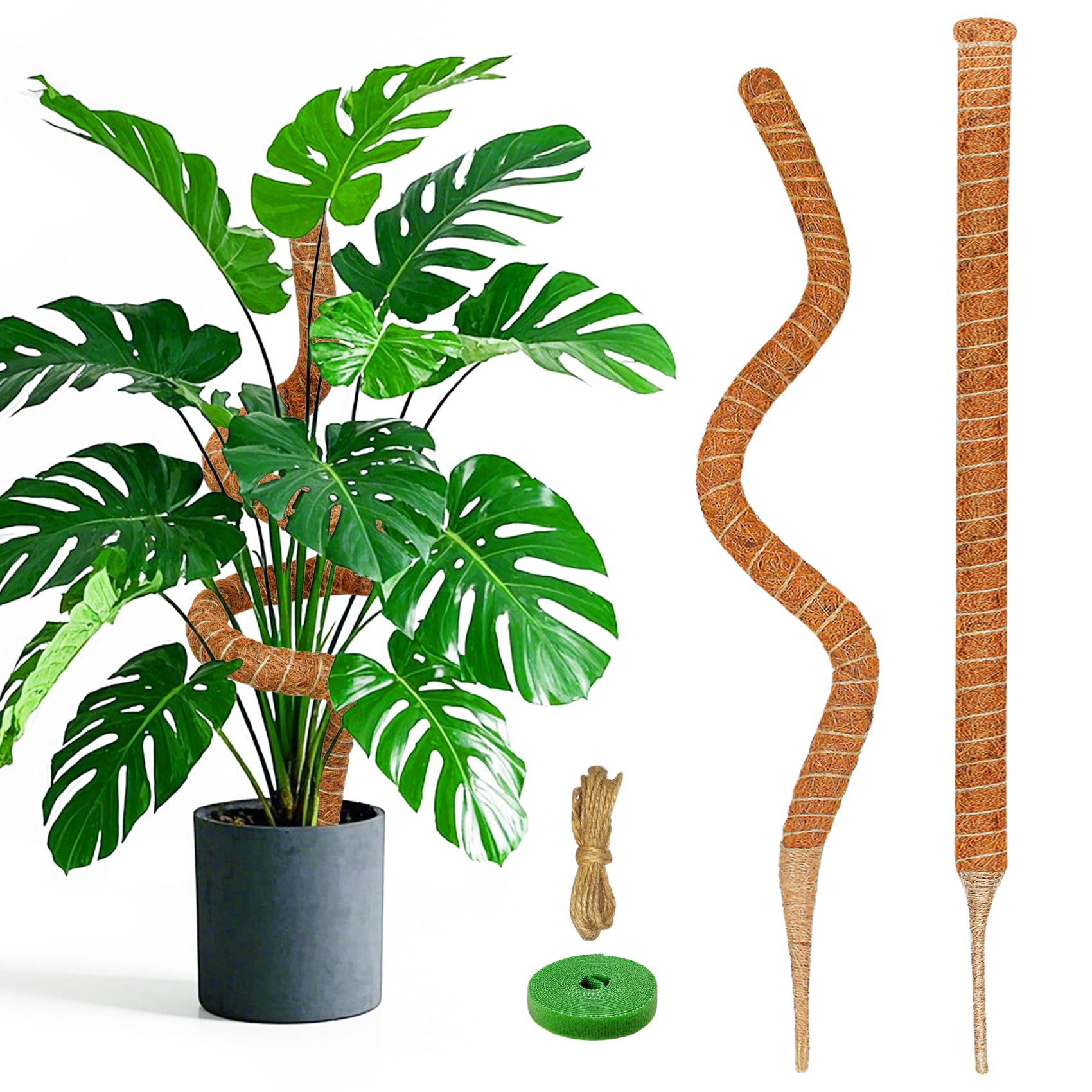 Amazon.com : 2 Pack 28 Inch Moss Pole Monstera Plant Support, Coir Moss  Poles for Climbing Indoor Plants, Bendable Plant Stake Trellis for Potted  Plant, Pothos, Philodendron : Patio, Lawn & Garden