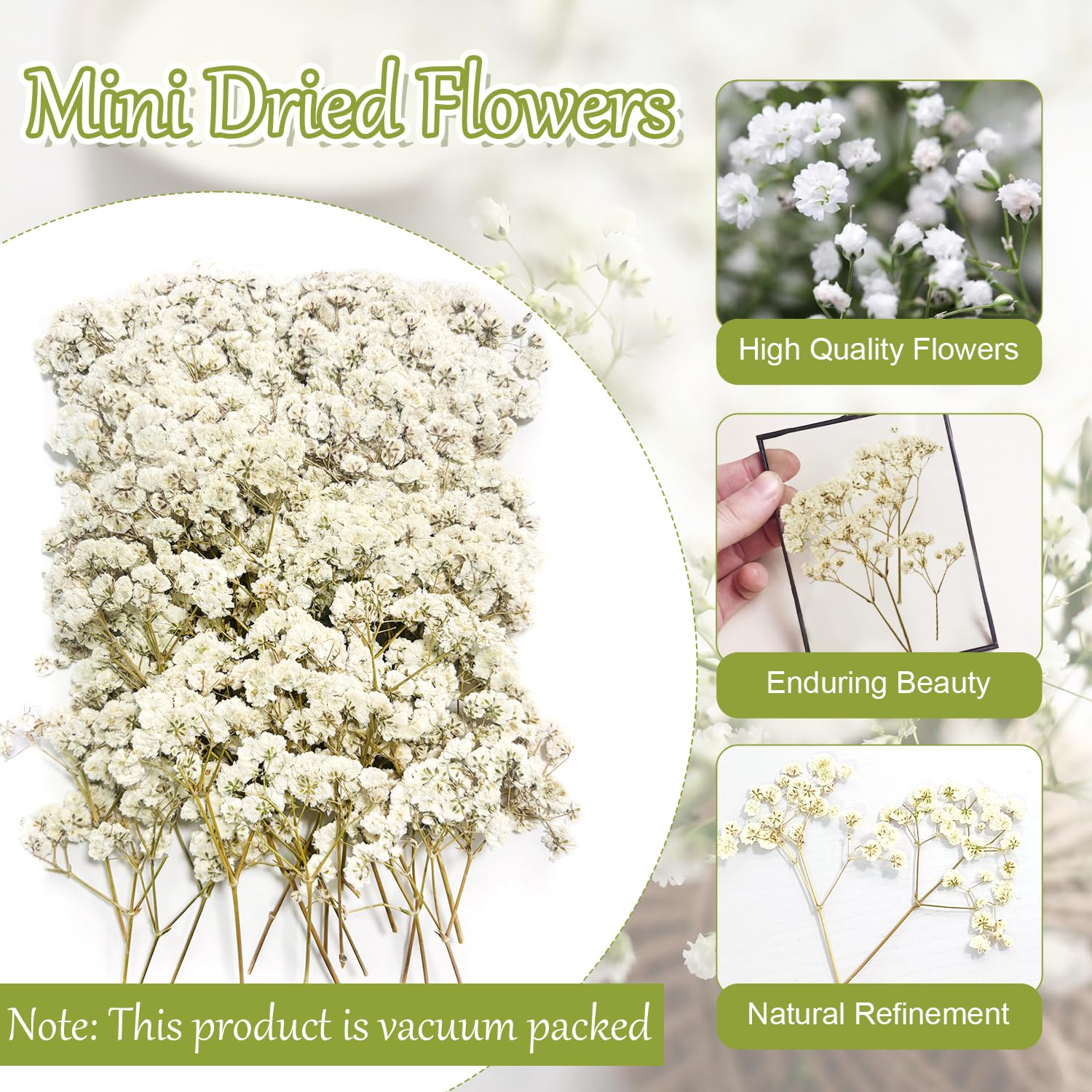 100 Piezas Paniculata Preservada (Blanco) - Flores Secas Pequeñas Naturales para Joyería de Resina y Bricolaje