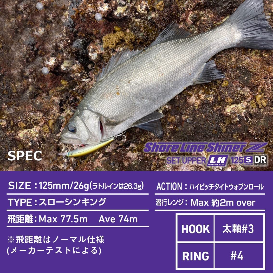 Daiwa Shore Line Shiner Z Set Upper LH 125SDR Köder