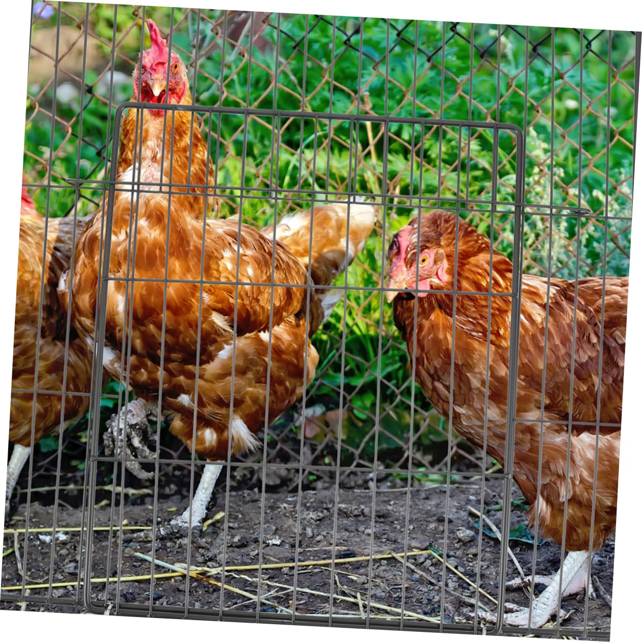 HAPINARY 2 Pack Pet Cage Door Sheets Reusable Cat Dog Gate Panel for Indoor Outdoor Fencing Easy to Install Metal Wire Door for Pet Enclosure