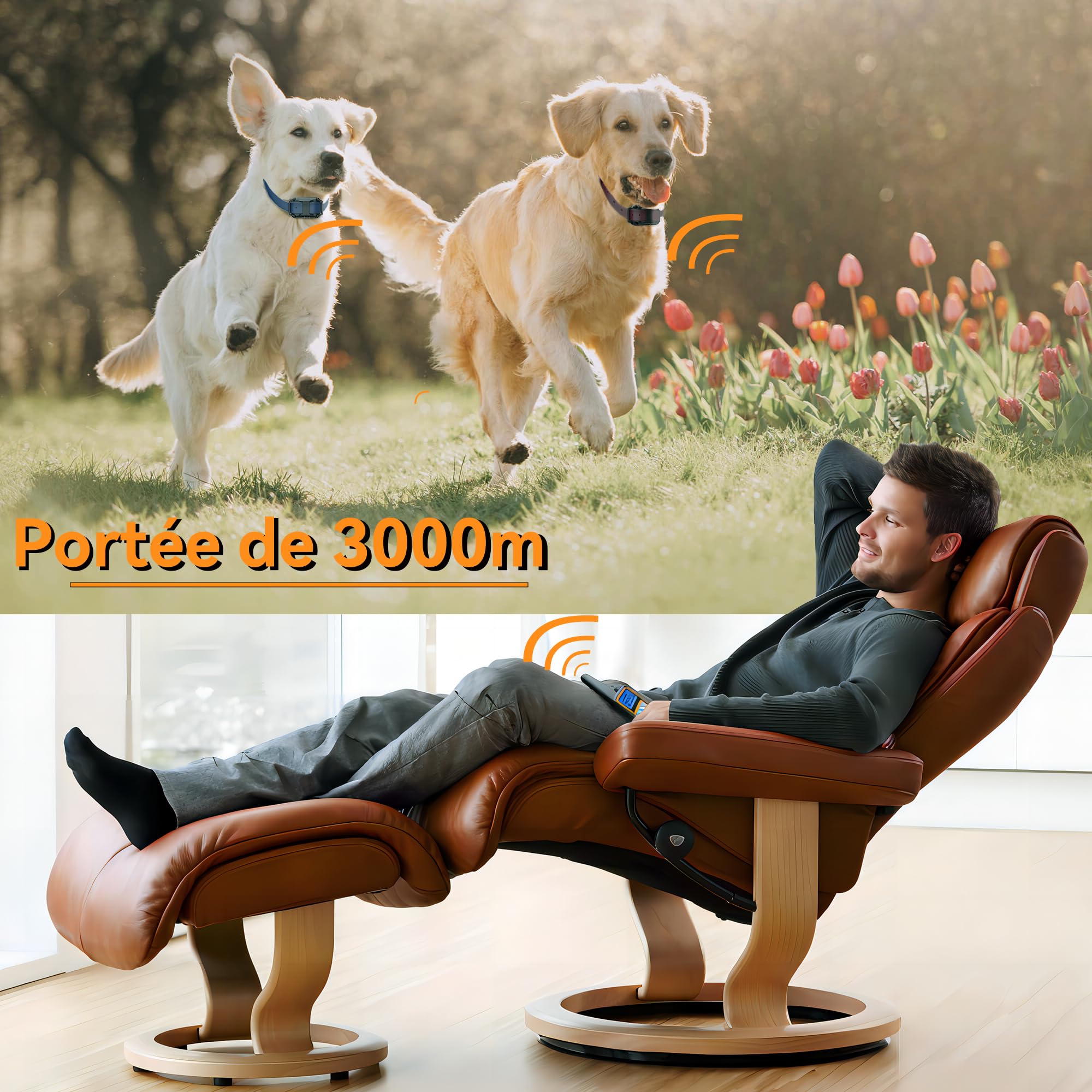 Meloive Collier de Dressage pour Deux Chiens,Collier Rechargeable avec Contrôle Manuel Portée 3000 Mètres,4 Modes d'Entraînement Choc Électrique/Sonore/Vibration/Lumière,IPX67 Résistant à l'eau