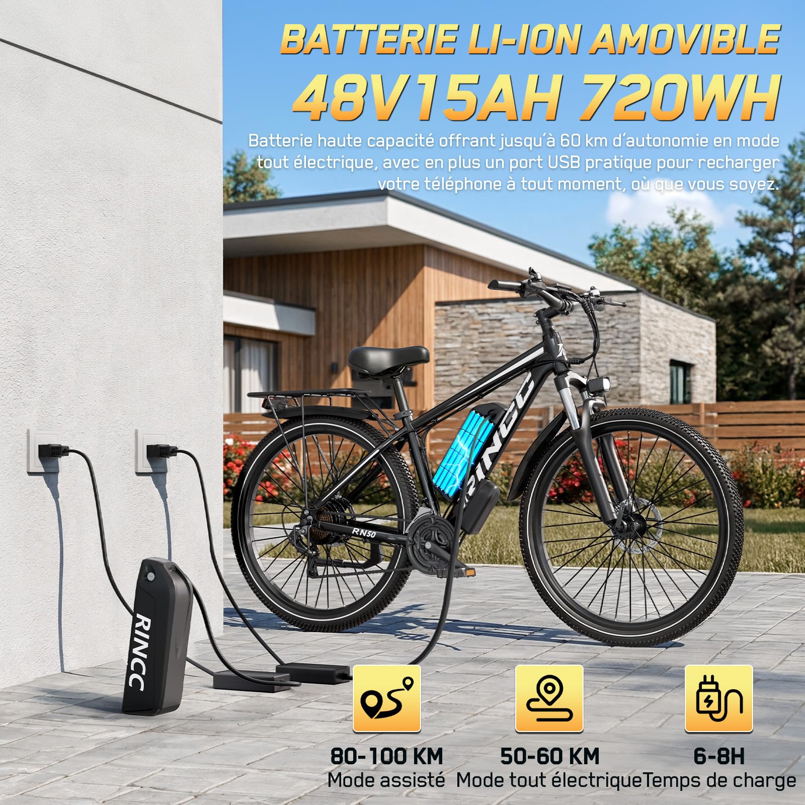 RINCC Velo Electrique Homme RN50-29,Vélo électrique Adulte 48V 15Ah Batterie avec 21 Vitesses avec Écran LCD,Autonomie jusqu'à 100 km,Moteur 250 W, Cadre en Alliage d'aluminium,Ville E-Bike