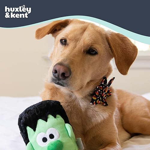 Miniatura 4 de Huxley & Kent Molinete para mascotas  Plaid-o-Lantern (grande)  Accesorio de collar de velcro de Halloween para perrosgatos  Divertido accesorio