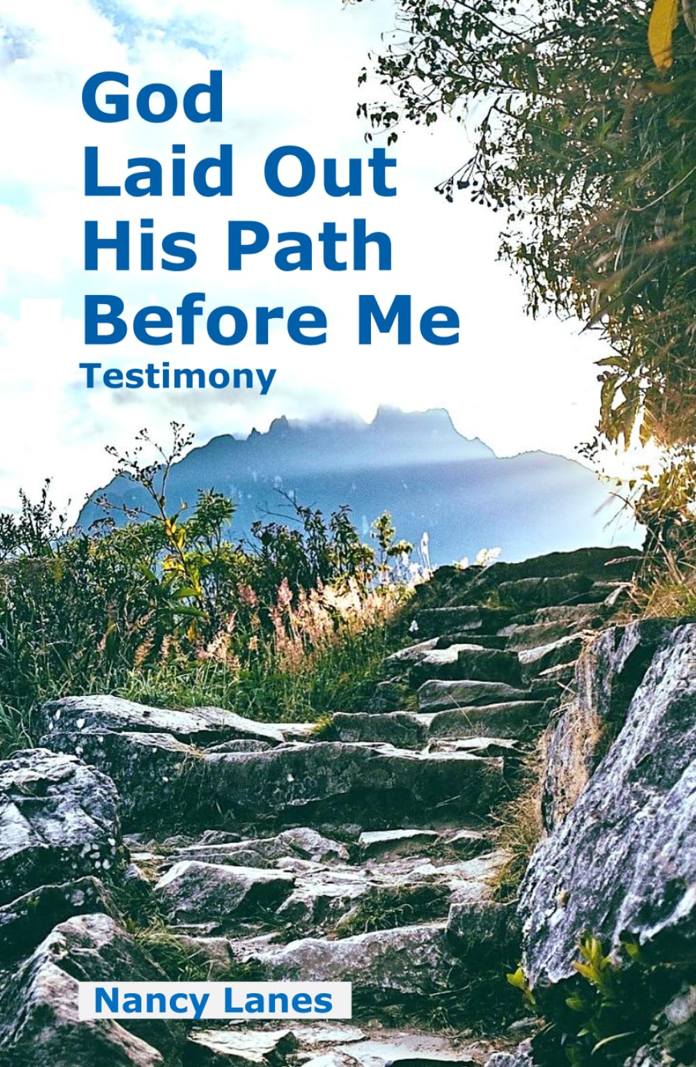 God Laid Out His Path Before Me - Testimony