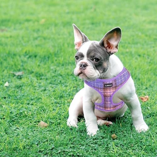 Miniatura 7 de SCENEREAL Arnés para perro con correa para perros pequeños y medianos, arnés y correa de malla suave para mascotas, chaleco ajustable sin tirones