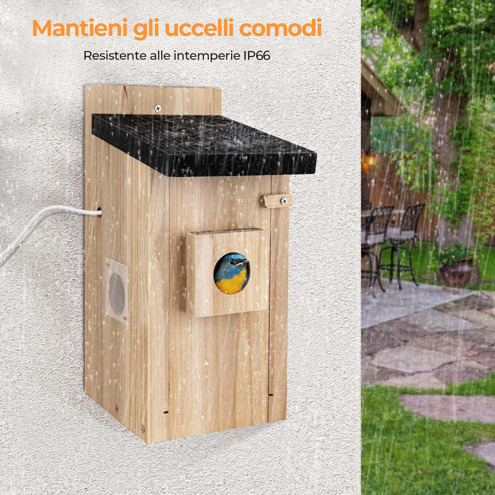 RAINBEAN Bird House with Camera, nidificatore con fotocamera, 4 milioni di pixel, telecamera per uccelli per esterni, osservazione in tempo reale della nidificazione e della covata di uccelli