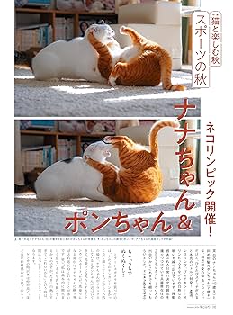 猫びより 2024年 秋号 | 猫びより編集部 |本 | 通販 | Amazon