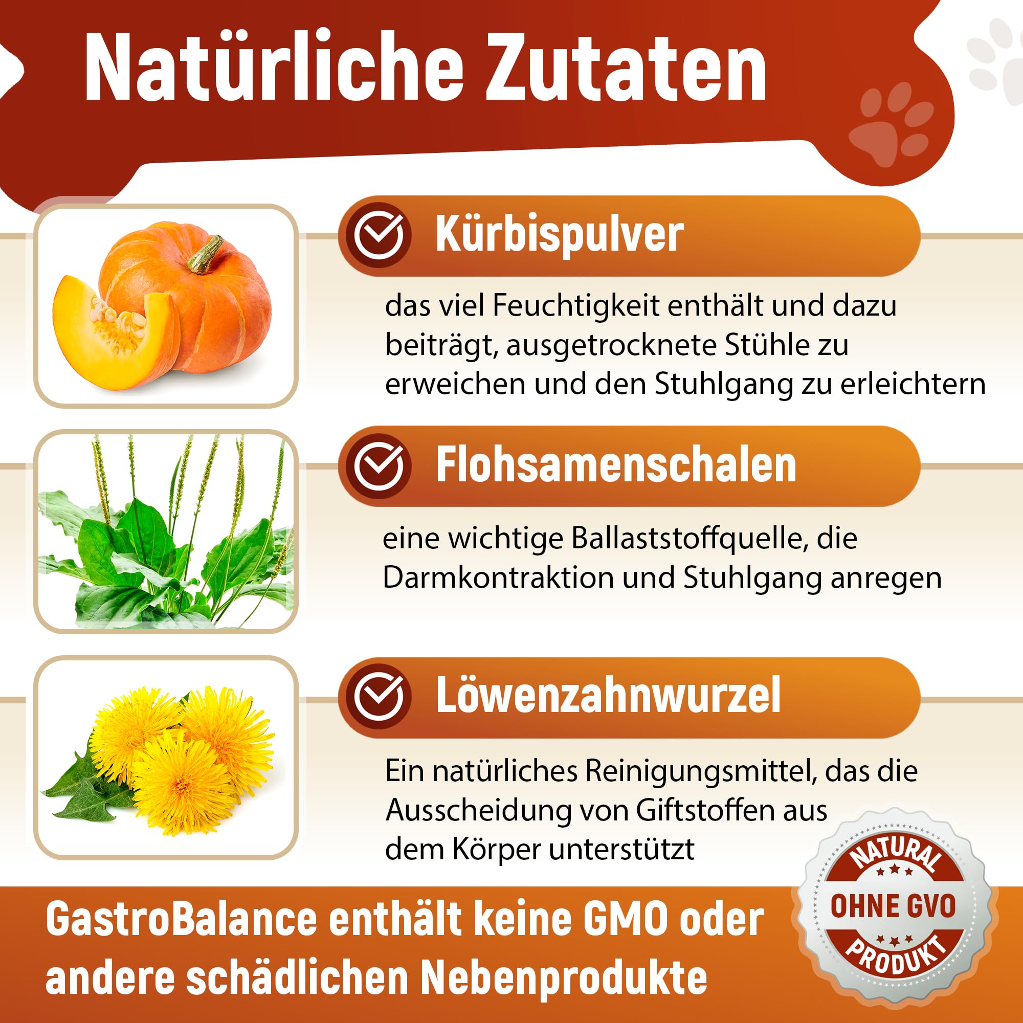 Linderung Von Verstopfung beim Hund – 60 weichen Kausnacks Abführmittel für Hunde 100% natürliche Wirkstoffe (Sapore di Pancetta)